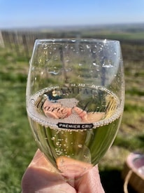 Glass of champagne in Reims, France