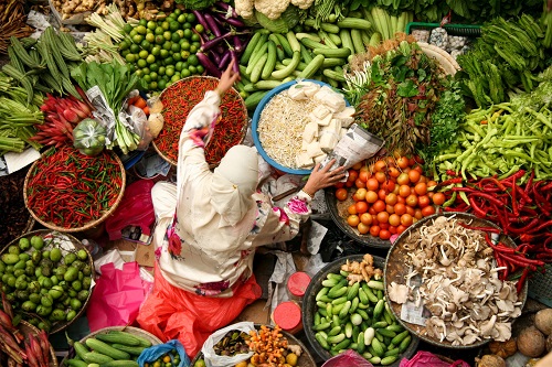 2019 Issue 1: Introducing The AgriNutrition Edge Report – Insights from the Farm to Your Plate