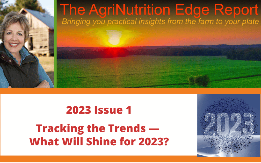 2023 Issue 1: Tracking the Trends — What Will Shine for 2023?