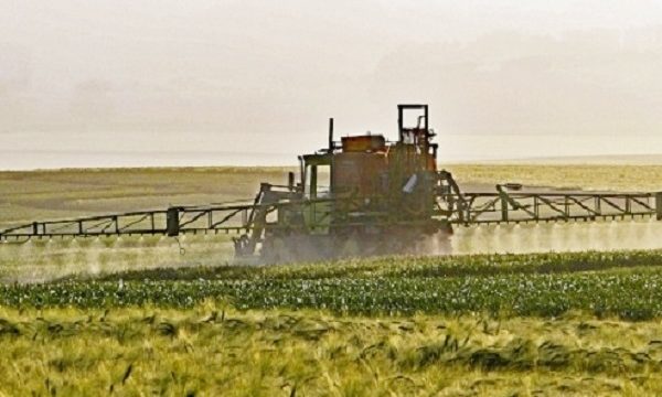 When Did Pesticides Become Table Conversation? Injecting Common Sense into the Discussion About Glyphosate