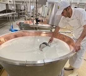 Worker at the Parma cheese operation in Bologna, Italy