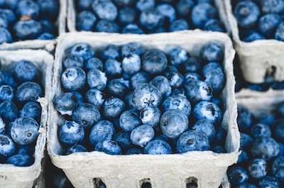 Blueberries in containers