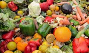 Photo of bruised vegetables tossed in a pile