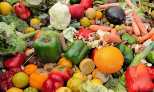 2021 Issue 5: Sustainability Starts At Home! It’s Time to Get Serious About Food Waste