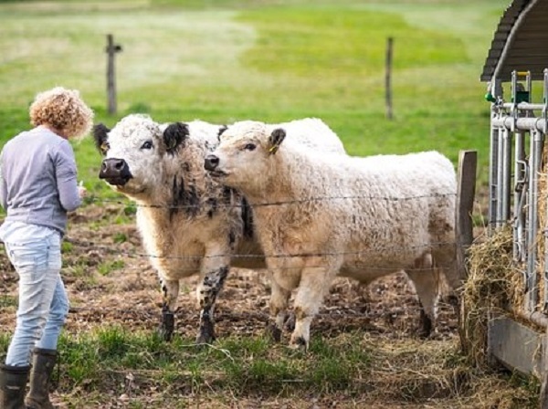 Antibiotics — Cure or Curse?