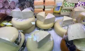 Various kinds of cheese displayed in a deli case