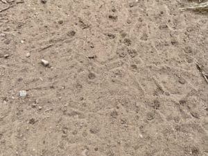 picture of dirt