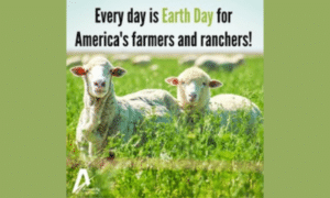 Every day is Earth Day for farmers and ranchers