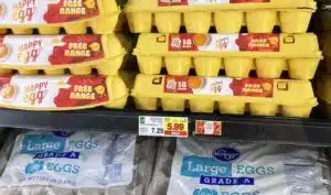 Eggs in grocery store case