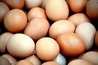 To Buy or Not to Buy Cage-Free Eggs? That is the EGG-CELLENT Question!