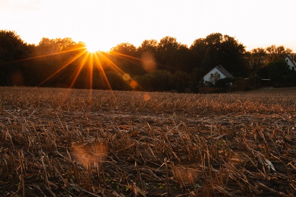 Committed to the Core: Farmers, Food & Our Future