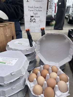 Eggs displayed at farmer's market