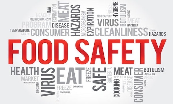 food safety wordle