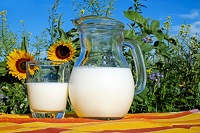glass and pitcher of milk