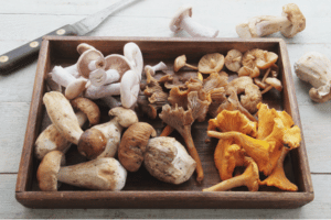 Tray of mushrooms sitting on a counter