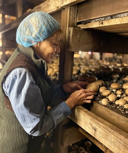 Marianne at the Mother Earth Organic Mushrooms Farm