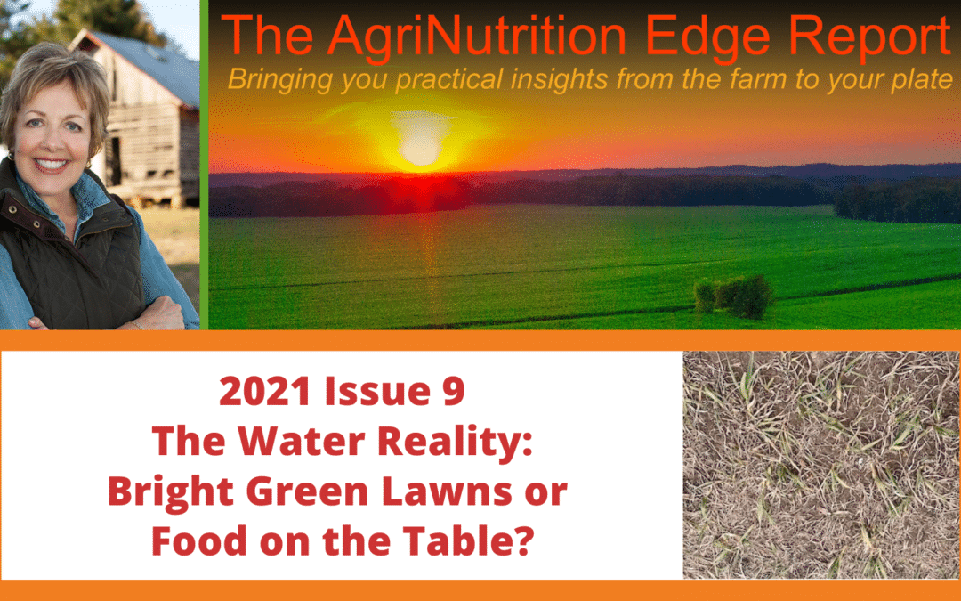 2021 Issue 9: The Water Reality — Bright Green Lawns or Food on the Table?