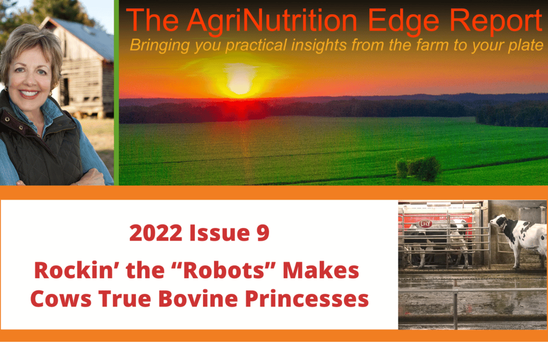2022 Issue 9: Rockin’ the “Robots” Makes Cows True Bovine Princesses