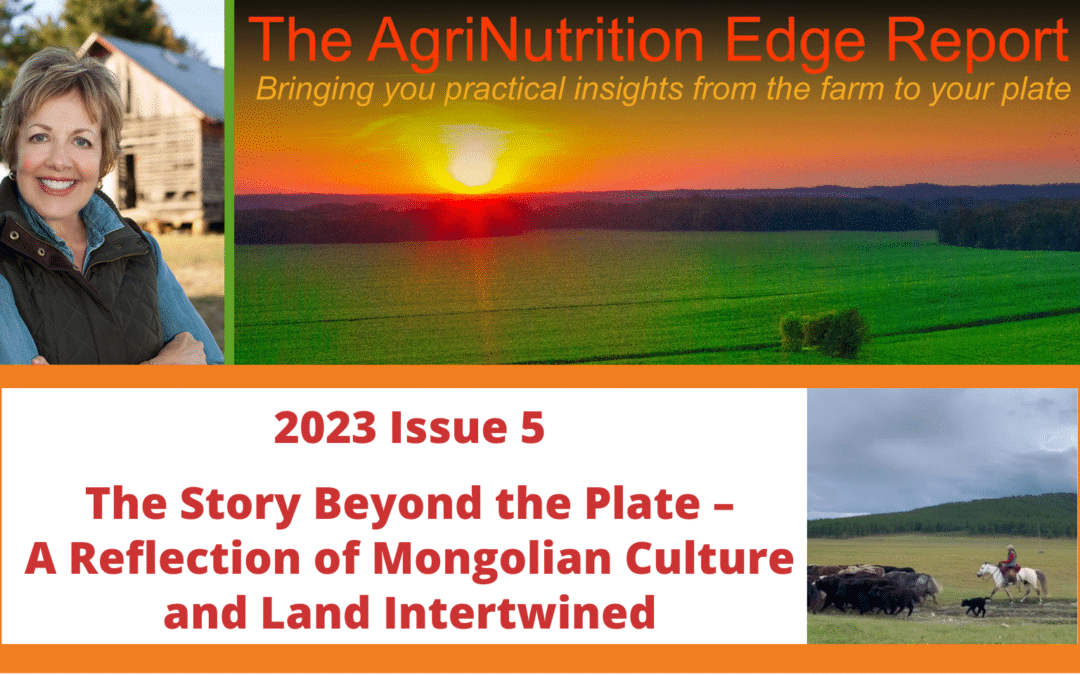 2023 Issue 5: The Story Beyond the Plate — A Reflection of Mongolian Culture and Land Intertwined