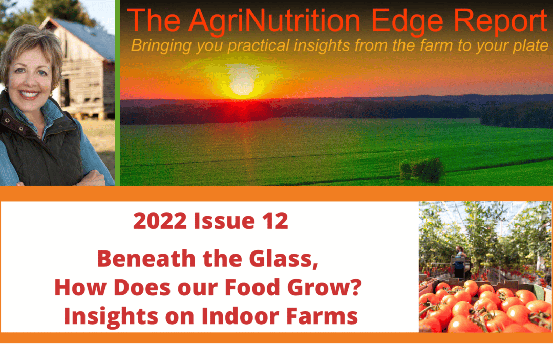 2022 Issue 12: Beneath the Glass, How Does our Food Grow? Insights on Indoor Farms