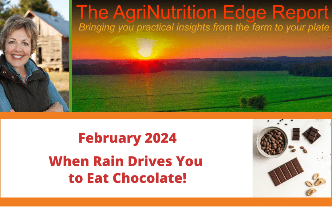 February 2024: When Rain Drives You to Eat Chocolate!