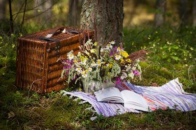 Scene of picnic with basket, blanket and book