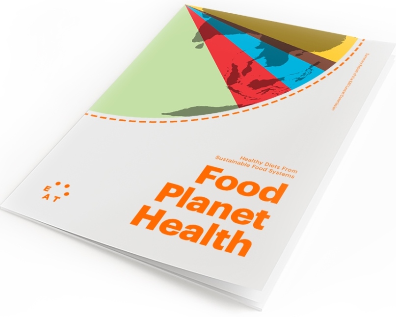 Are You (and the Planet) What You Eat? Insights on the EAT-Lancet Commission Report