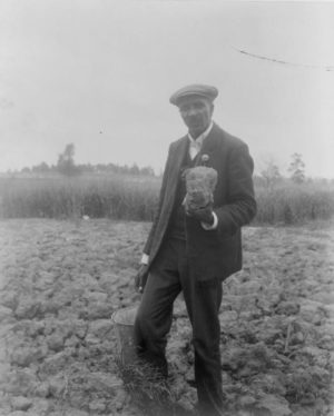 George Washington Carver standing on land with soil sample