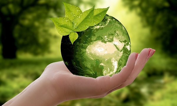 Sustainability – More than a Trend