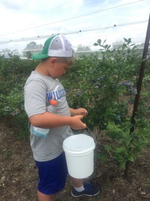 My great nephew Tanner picking blueberries