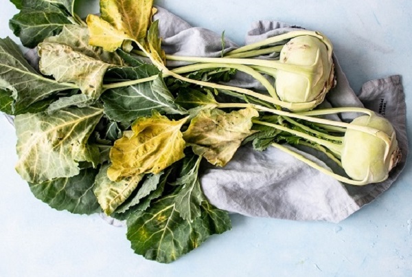 We Are Our Own Worst Enemies…Food Snobs = Food Waste!